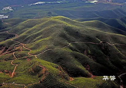 湖南永州藍(lán)山公路項目水土保持方案（水保）順利通過專家評議