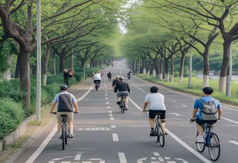 交通組織優(yōu)化：驅(qū)動城市可持續(xù)發(fā)展的核心引擎